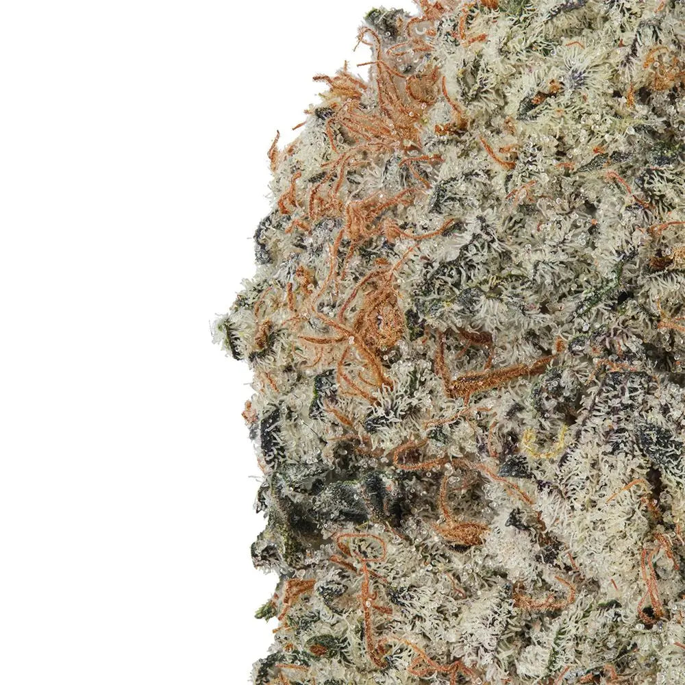 WNC CBD High THCA Indoor Hydro Flower | 3.5g Smoke Drop
