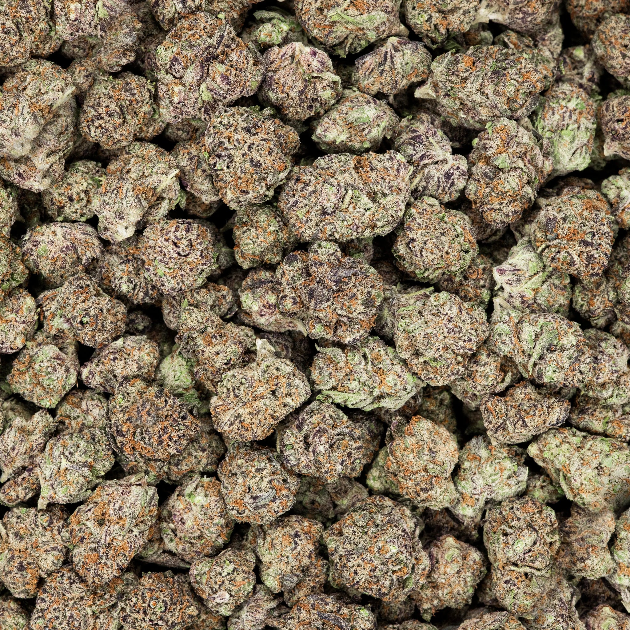 Revelry Blueberry Pancakes THCA Flower 3.5G Smoke Drop