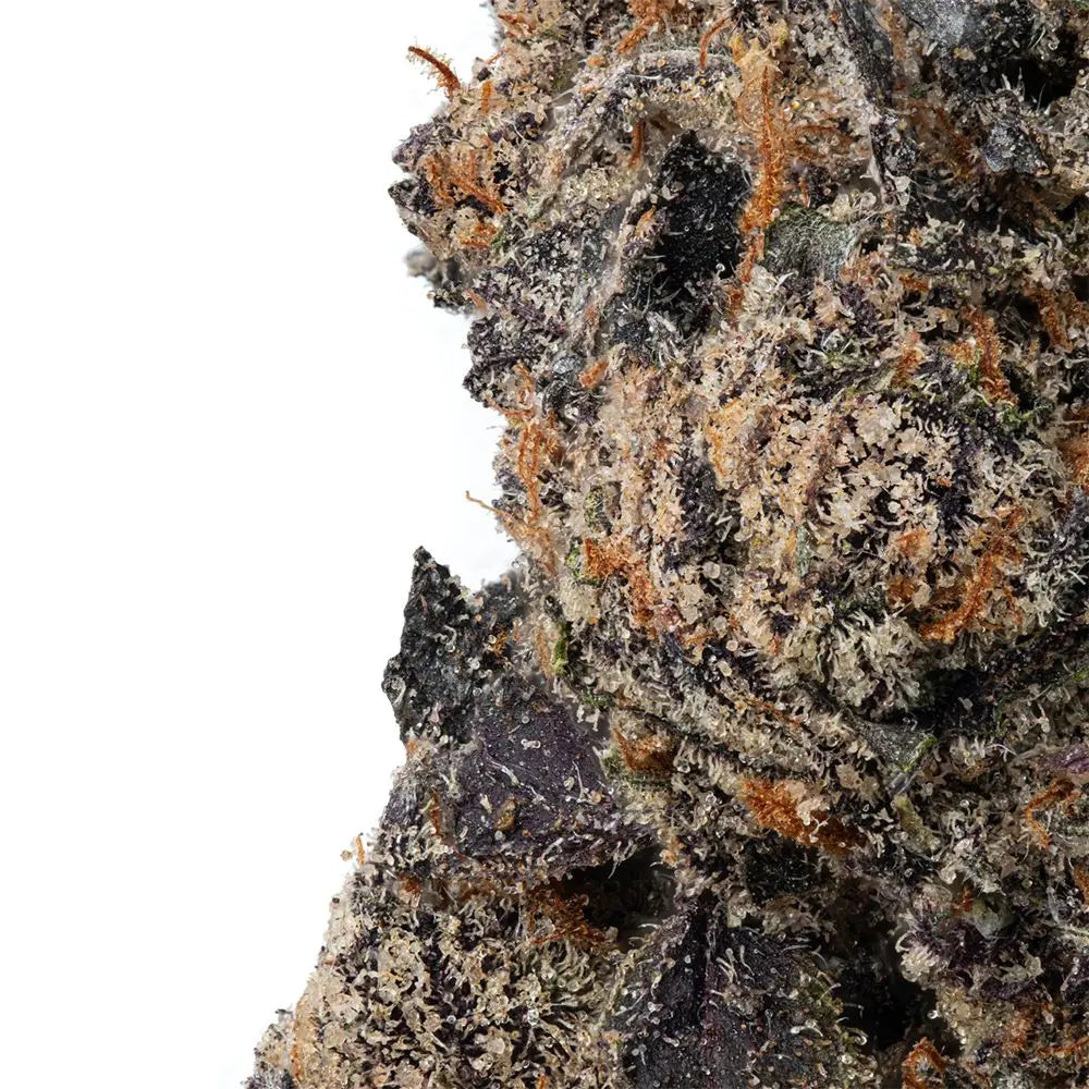 WNC CBD High THCA Indoor Hydro Flower | 3.5g Smoke Drop