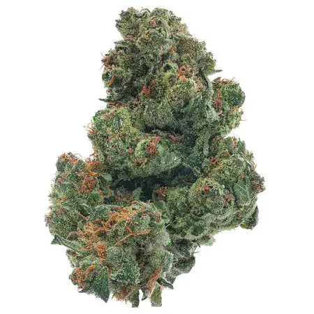 OG Kush Indoor - 28 Grams - Indica Got The Za