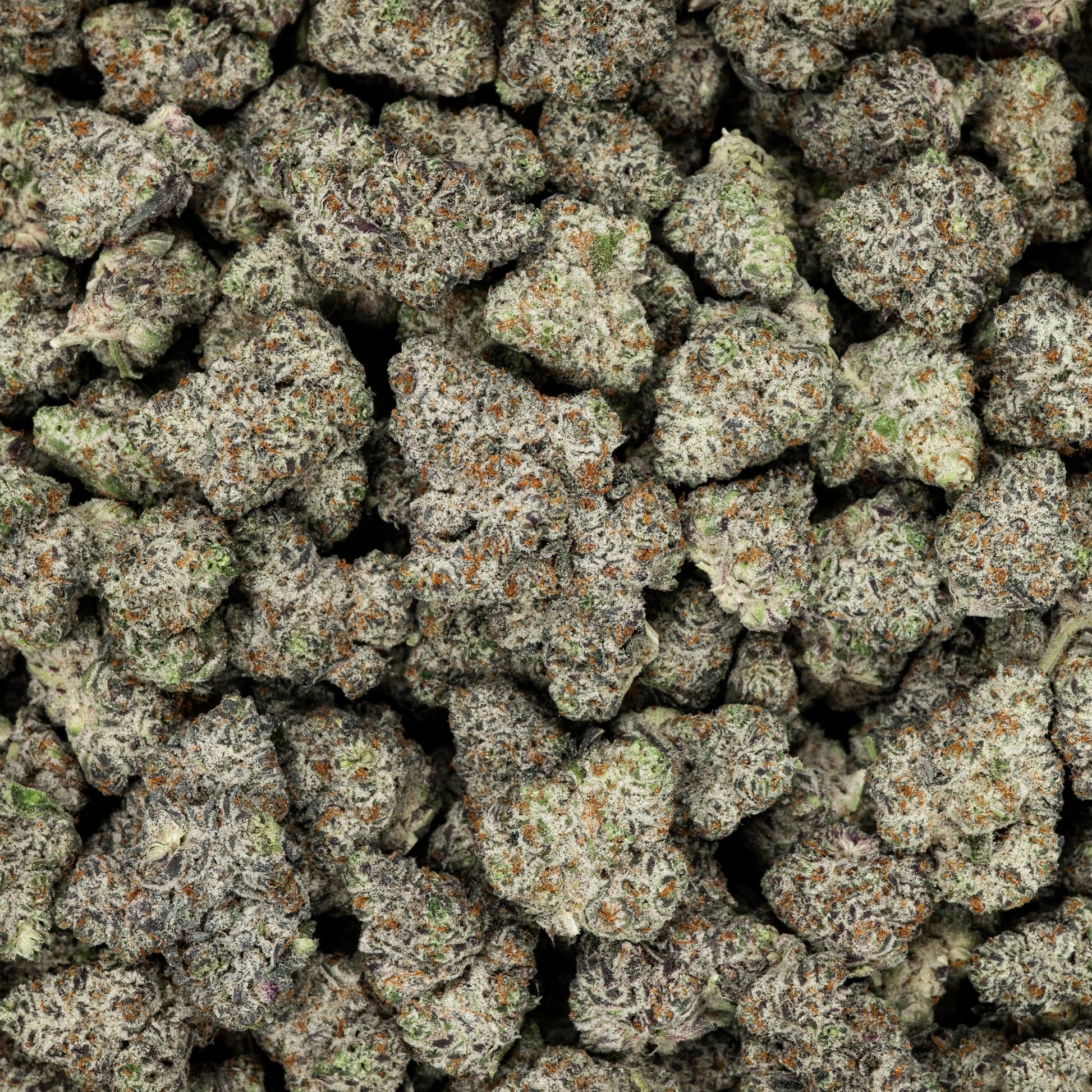 Revelry White Truffle THCA Flower 3.5G Smoke Drop