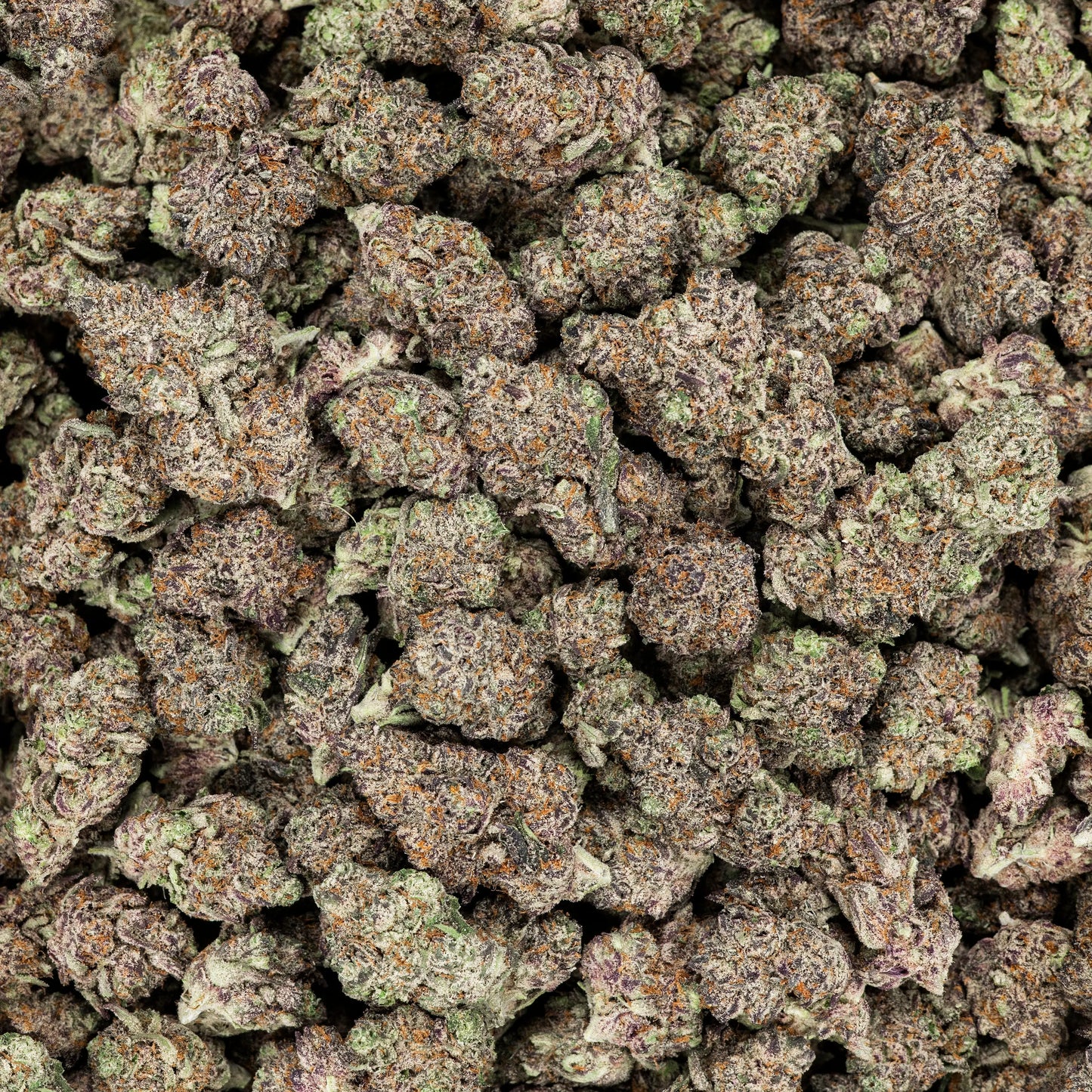 Revelry Devil's Gelato THCA Pre Rolls 7 Pack Smoke Drop