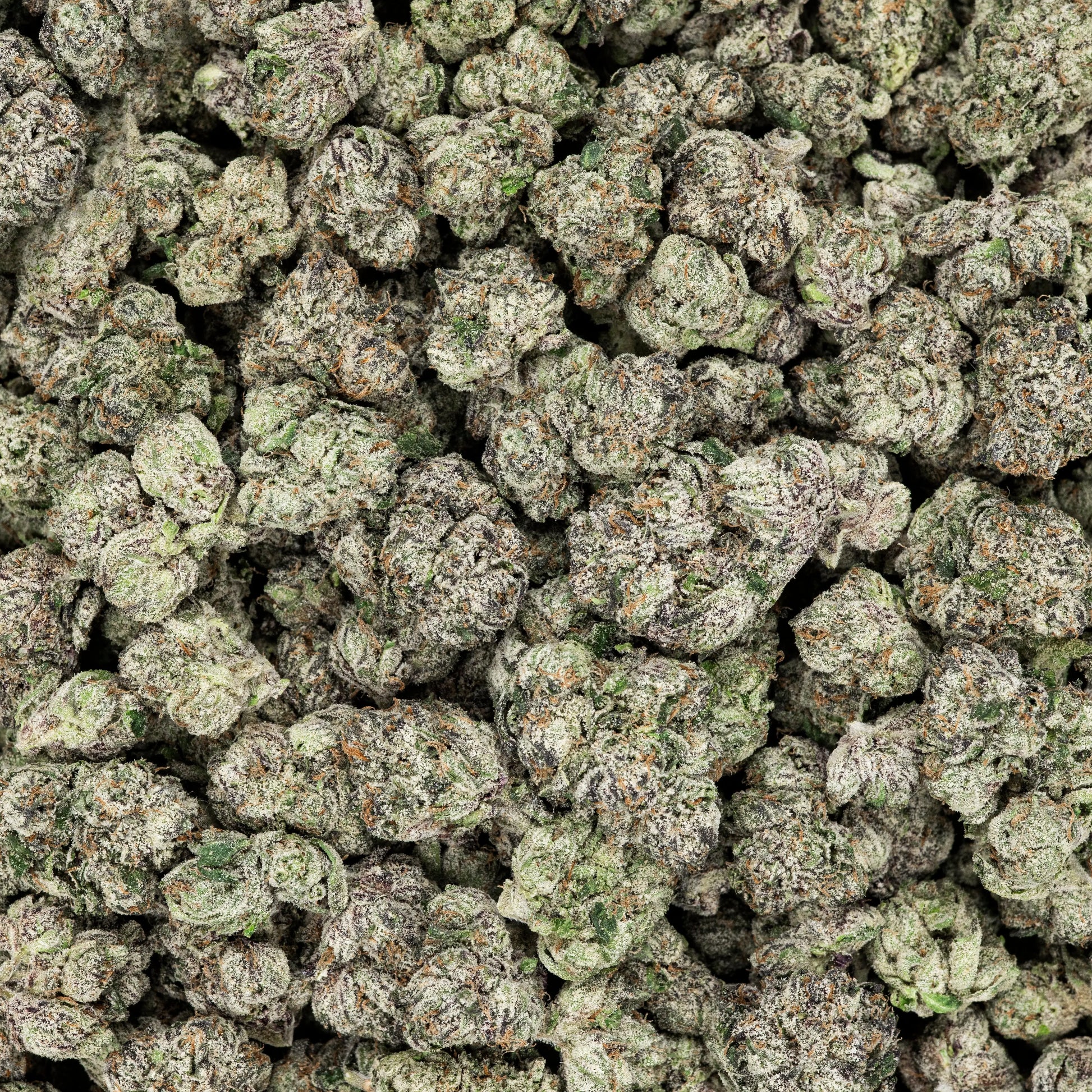 Revelry Frosted Runtz THCA Flower 3.5G Smoke Drop